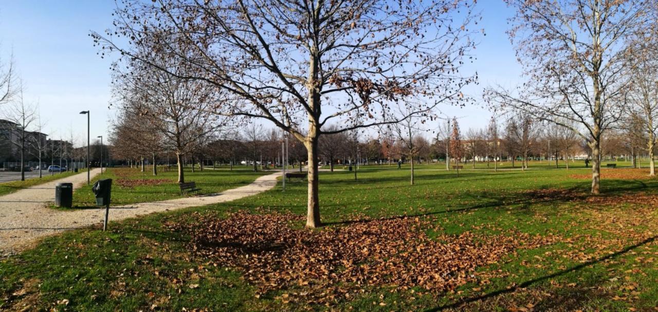 "Casa Giuliari" In Borgo Roma Vicino Policlinico Univr Fiera Daire Verona Dış mekan fotoğraf